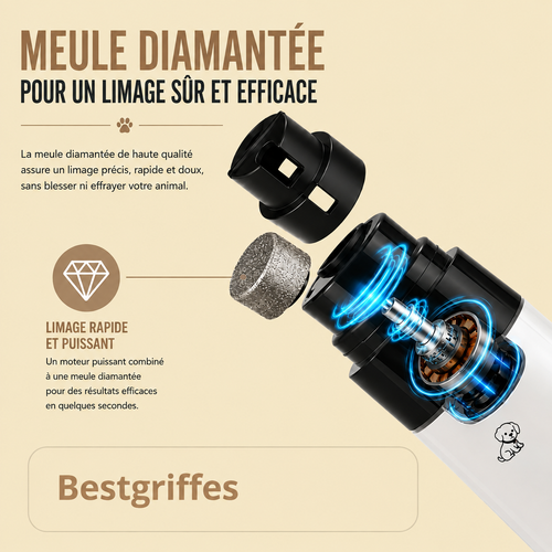 La lime à griffes électrique